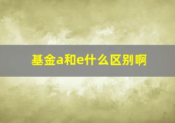 基金a和e什么区别啊