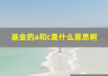 基金的a和c是什么意思啊