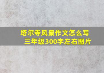 塔尔寺风景作文怎么写三年级300字左右图片