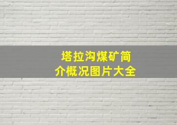 塔拉沟煤矿简介概况图片大全