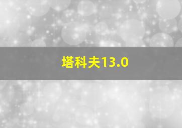 塔科夫13.0