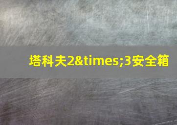 塔科夫2×3安全箱