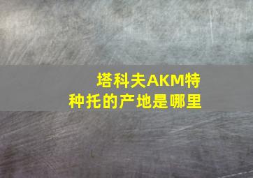 塔科夫AKM特种托的产地是哪里