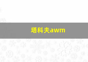 塔科夫awm