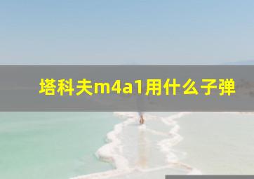 塔科夫m4a1用什么子弹