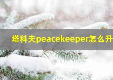 塔科夫peacekeeper怎么升级