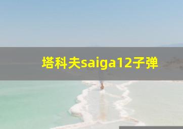 塔科夫saiga12子弹