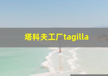 塔科夫工厂tagilla