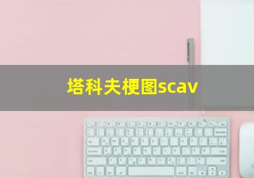 塔科夫梗图scav