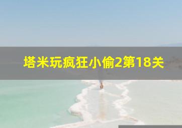 塔米玩疯狂小偷2第18关