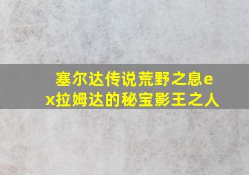 塞尔达传说荒野之息ex拉姆达的秘宝影王之人