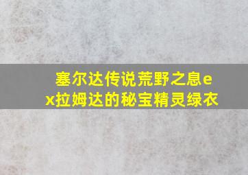 塞尔达传说荒野之息ex拉姆达的秘宝精灵绿衣