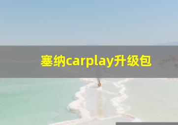 塞纳carplay升级包