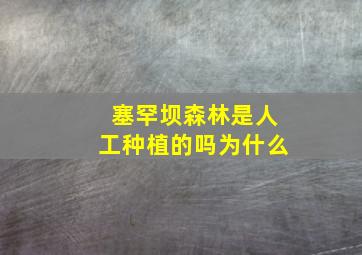 塞罕坝森林是人工种植的吗为什么