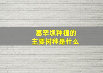 塞罕坝种植的主要树种是什么