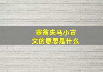 塞翁失马小古文的意思是什么