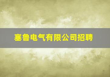 塞鲁电气有限公司招聘