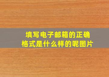 填写电子邮箱的正确格式是什么样的呢图片