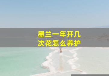 墨兰一年开几次花怎么养护