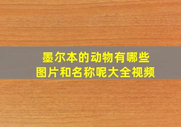 墨尔本的动物有哪些图片和名称呢大全视频