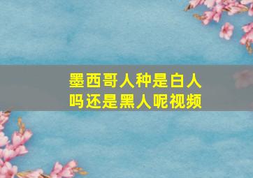 墨西哥人种是白人吗还是黑人呢视频