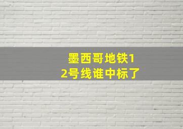 墨西哥地铁12号线谁中标了