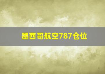 墨西哥航空787仓位