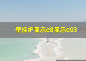 壁挂炉显示e8显示e03