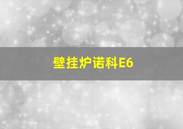 壁挂炉诺科E6