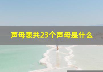 声母表共23个声母是什么