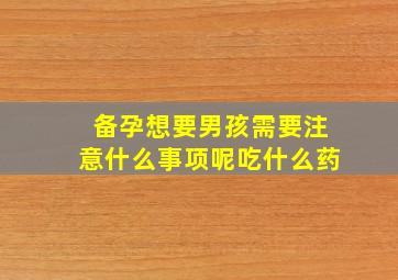 备孕想要男孩需要注意什么事项呢吃什么药