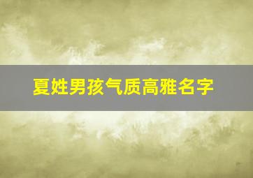 夏姓男孩气质高雅名字