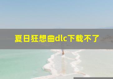 夏日狂想曲dlc下载不了