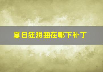 夏日狂想曲在哪下补丁