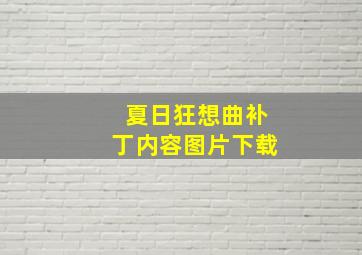 夏日狂想曲补丁内容图片下载