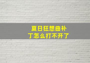 夏日狂想曲补丁怎么打不开了