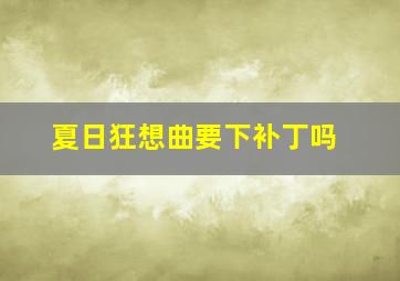 夏日狂想曲要下补丁吗