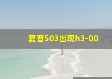 夏普503出现h3-00