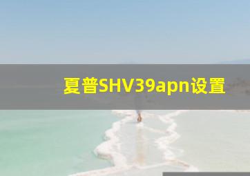 夏普SHV39apn设置