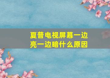 夏普电视屏幕一边亮一边暗什么原因