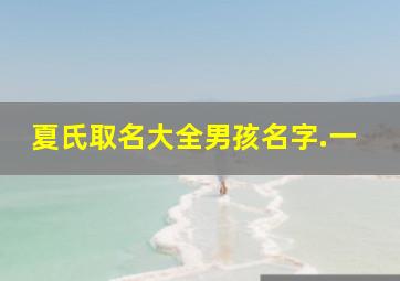 夏氏取名大全男孩名字.一