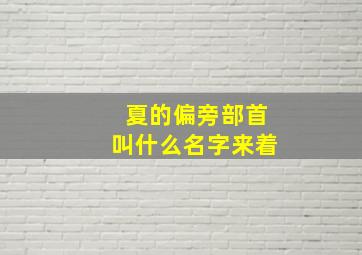 夏的偏旁部首叫什么名字来着