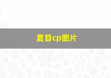 夏目cp图片