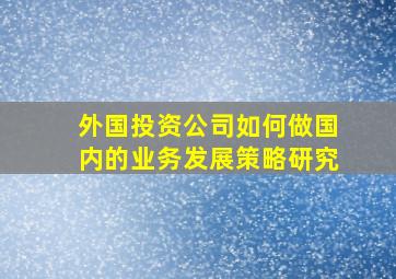 外国投资公司如何做国内的业务发展策略研究