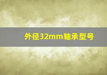 外径32mm轴承型号