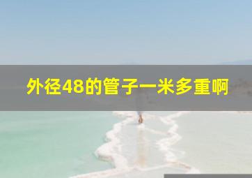 外径48的管子一米多重啊