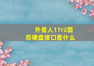 外星人17r2固态硬盘接口是什么