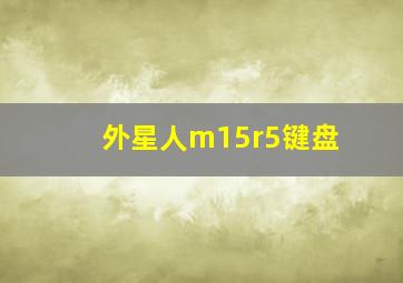 外星人m15r5键盘