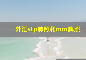 外汇stp牌照和mm牌照