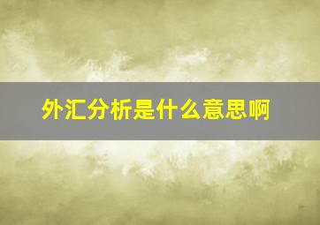 外汇分析是什么意思啊